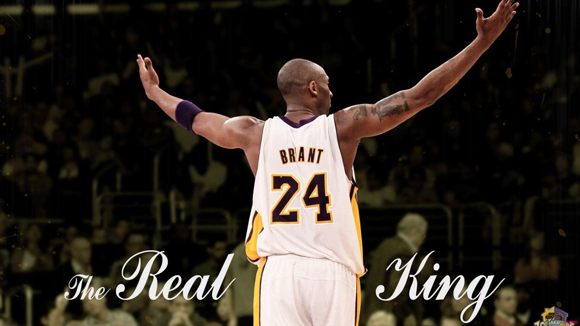 自由泳巅峰对决，世界纪录保持者与新生代天才的激烈较量