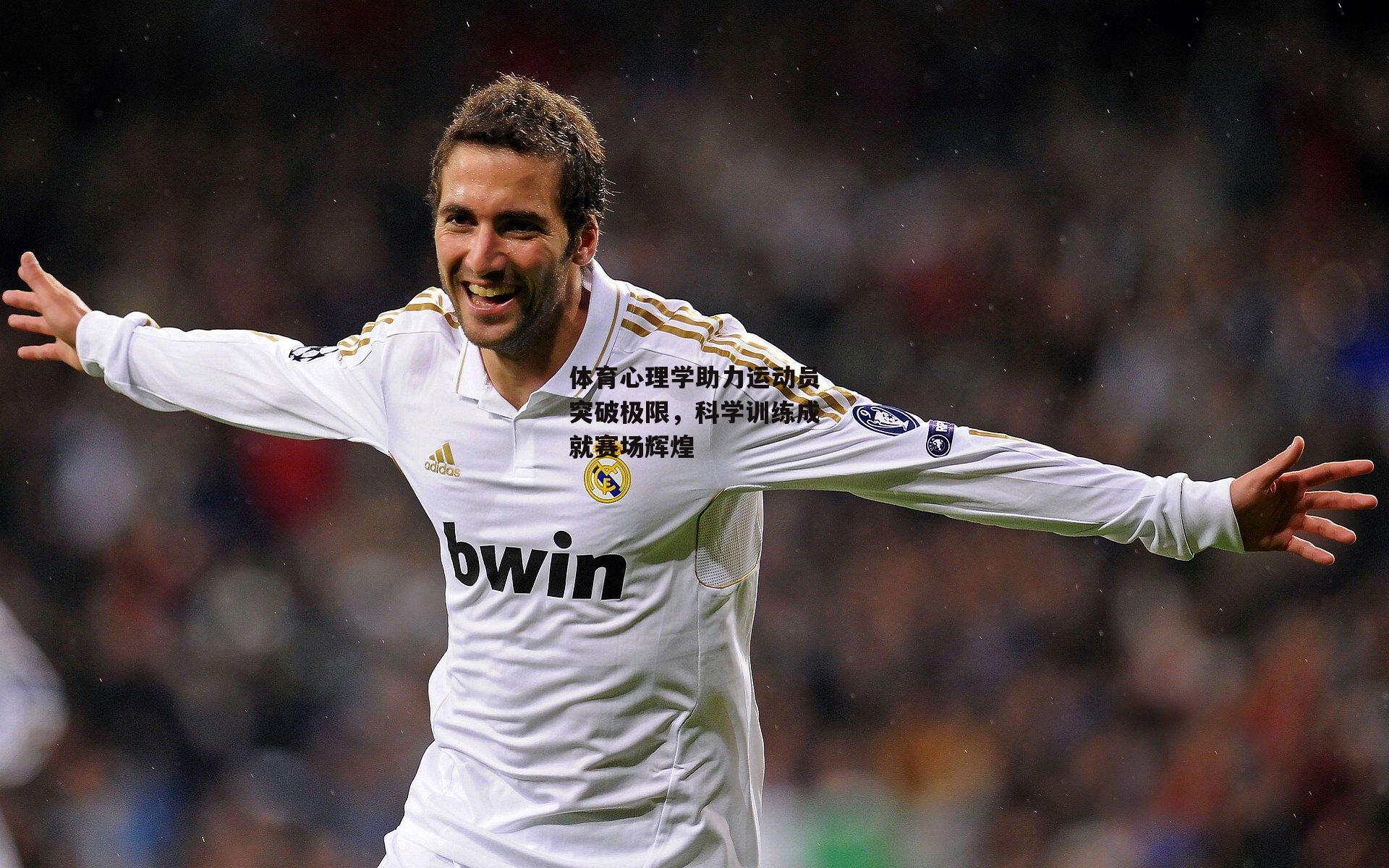 体育心理学助力运动员突破极限，科学训练成就赛场辉煌